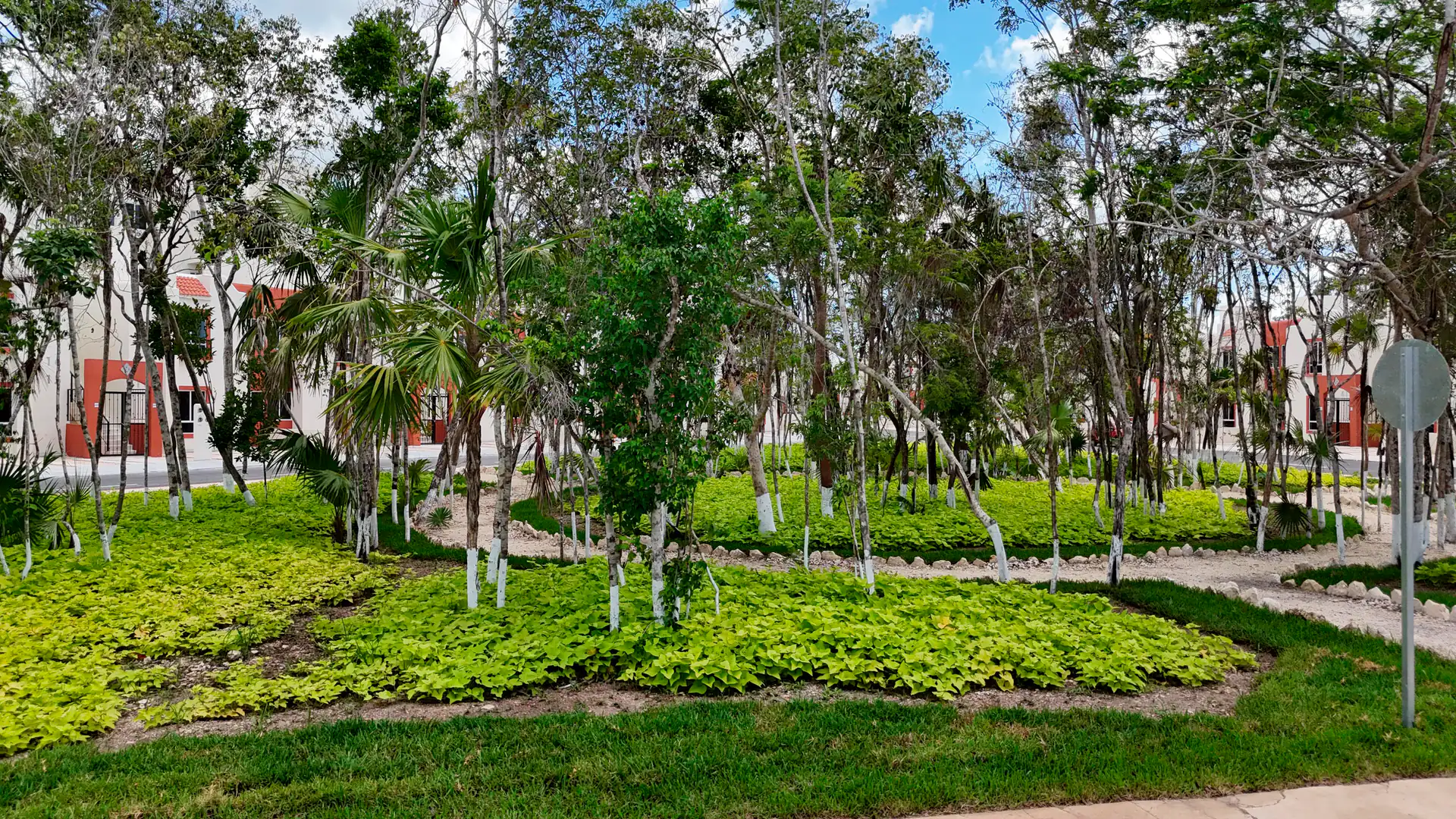 Alberca Principal en Aldea Tulum