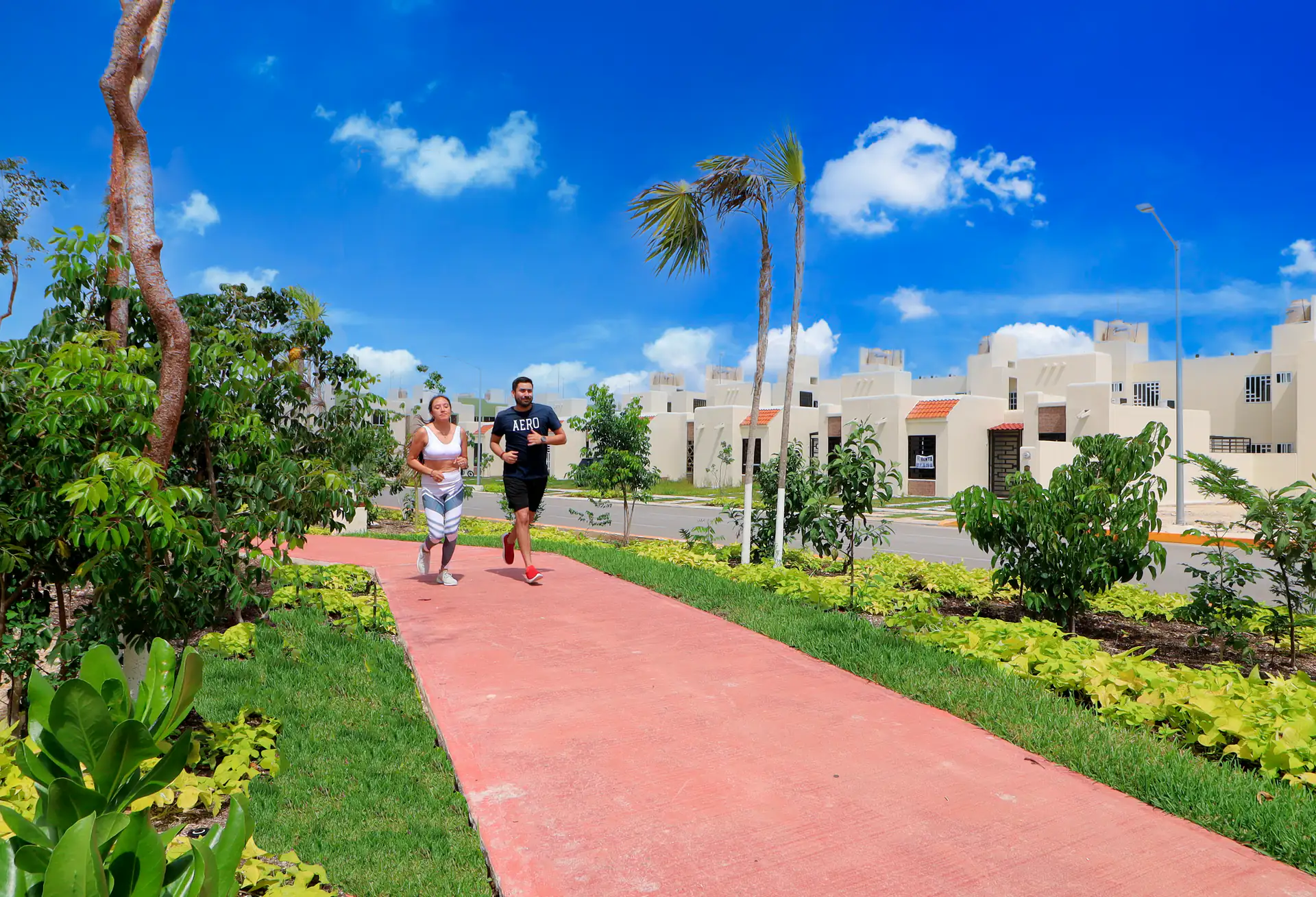 Área de Alberca y Camastros en Aldea Tulum